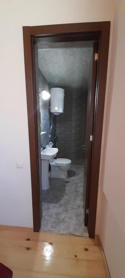 Guest House Lekhtagi ميستيا المظهر الخارجي الصورة