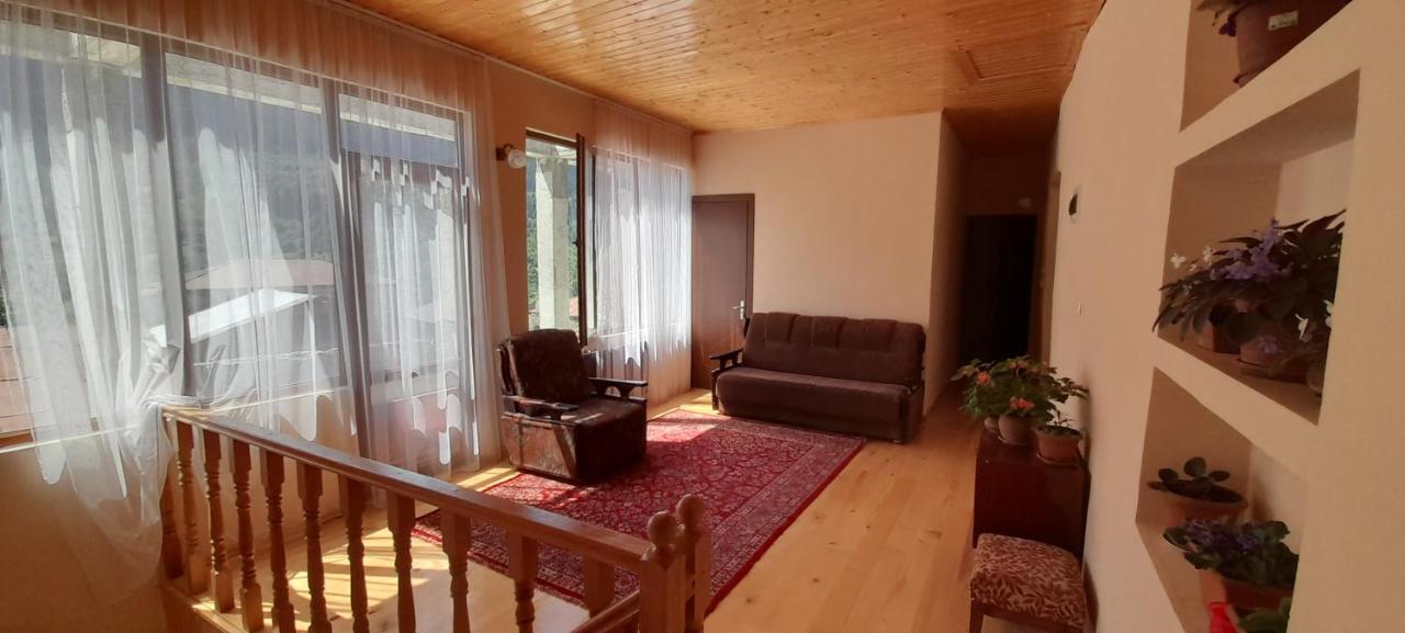 Guest House Lekhtagi ميستيا المظهر الخارجي الصورة