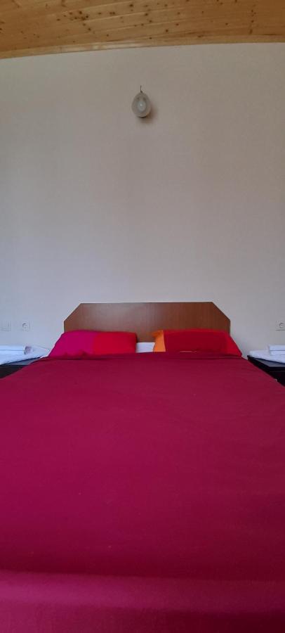 Guest House Lekhtagi ميستيا المظهر الخارجي الصورة