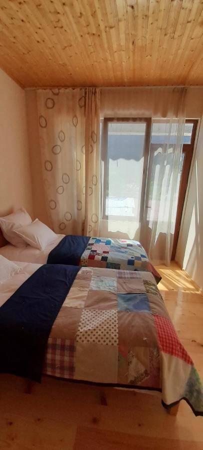 Guest House Lekhtagi ميستيا المظهر الخارجي الصورة